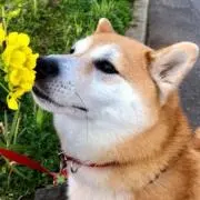 420の画像