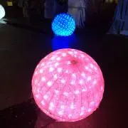 ベビーちゃんの画像