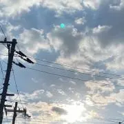azarashiの画像