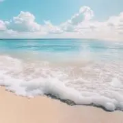 サザエの画像