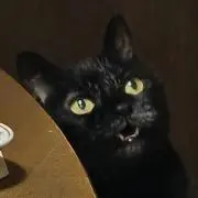 mbie