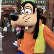 ぴょんきちの画像