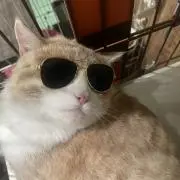 ROCK MAN