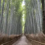 @RYの画像