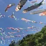 ゆみの画像