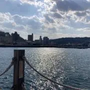 ⭐︎ここから⭐︎の画像