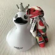 Yの画像