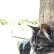 あんぺーじ