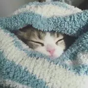 ひろの画像