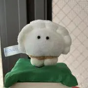 T★即購入OKの画像