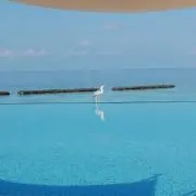すー