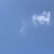 Liz_の画像