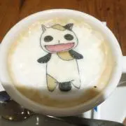 かきすな