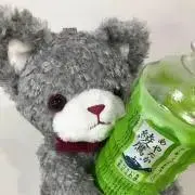 桔梗 ❀