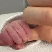 Diebreaneお値段ご相談くださいの画像