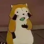たろうの画像