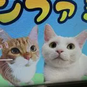 Ｊ１の画像