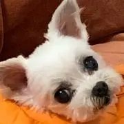 ごんごん
