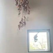 あの画像