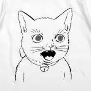 terjeの画像
