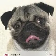 ミッチー