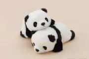 はらぽよの画像