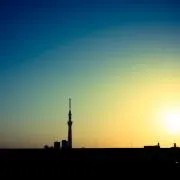 Sukuの画像