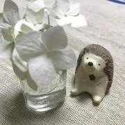 ゆずの画像