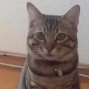ひさえ
