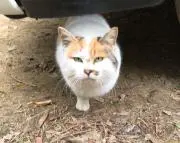 どんどんヒロバの画像
