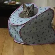 さくママ