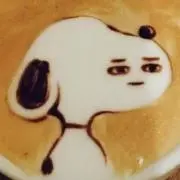 taopaipai