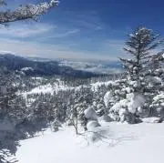 みつをの画像