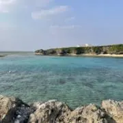 YKの画像
