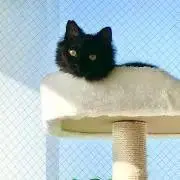 ユーケイ