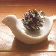 miruの画像