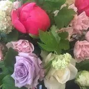 roseroseの画像
