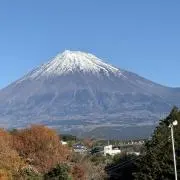 うめさんの画像