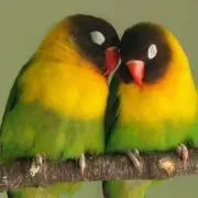 なみへい