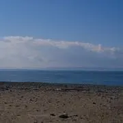 Mashの画像