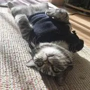 jiyonao