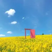 SAKA 値引き交渉OK！の画像
