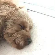 ☆凛々★