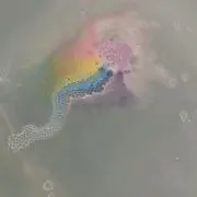 こみんじゅんの画像