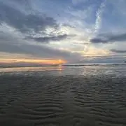 マロの画像