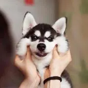 あや