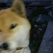 6h2kの画像