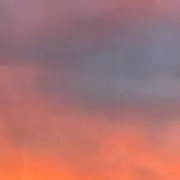 みちゃの画像