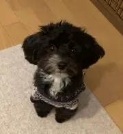 レオ