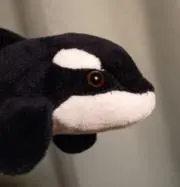 Nの画像